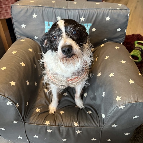 Meet your Posher, Kristi - Picture 10 of 17